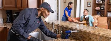 Best Pest Prevention Services  in Round Lake Beach, IL